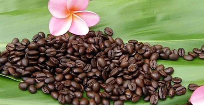 8 Best Kona Coffee Brands of 2022