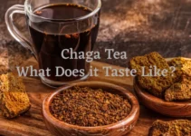 Chaga Tea – What Does it Taste Like? Guide To Prepare Chaga Tea