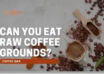Can You Eat Raw Coffee Grounds?